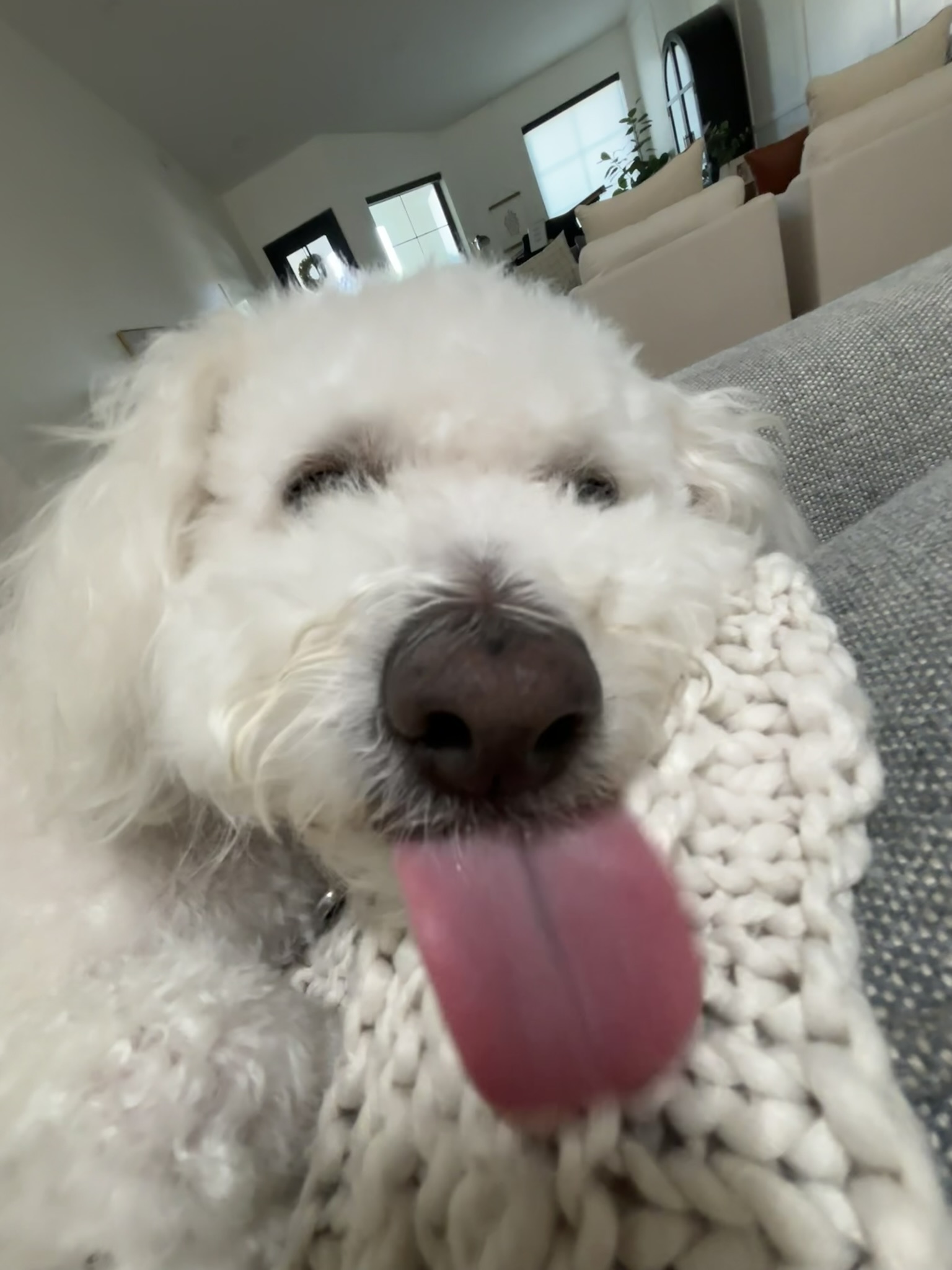 Rudy