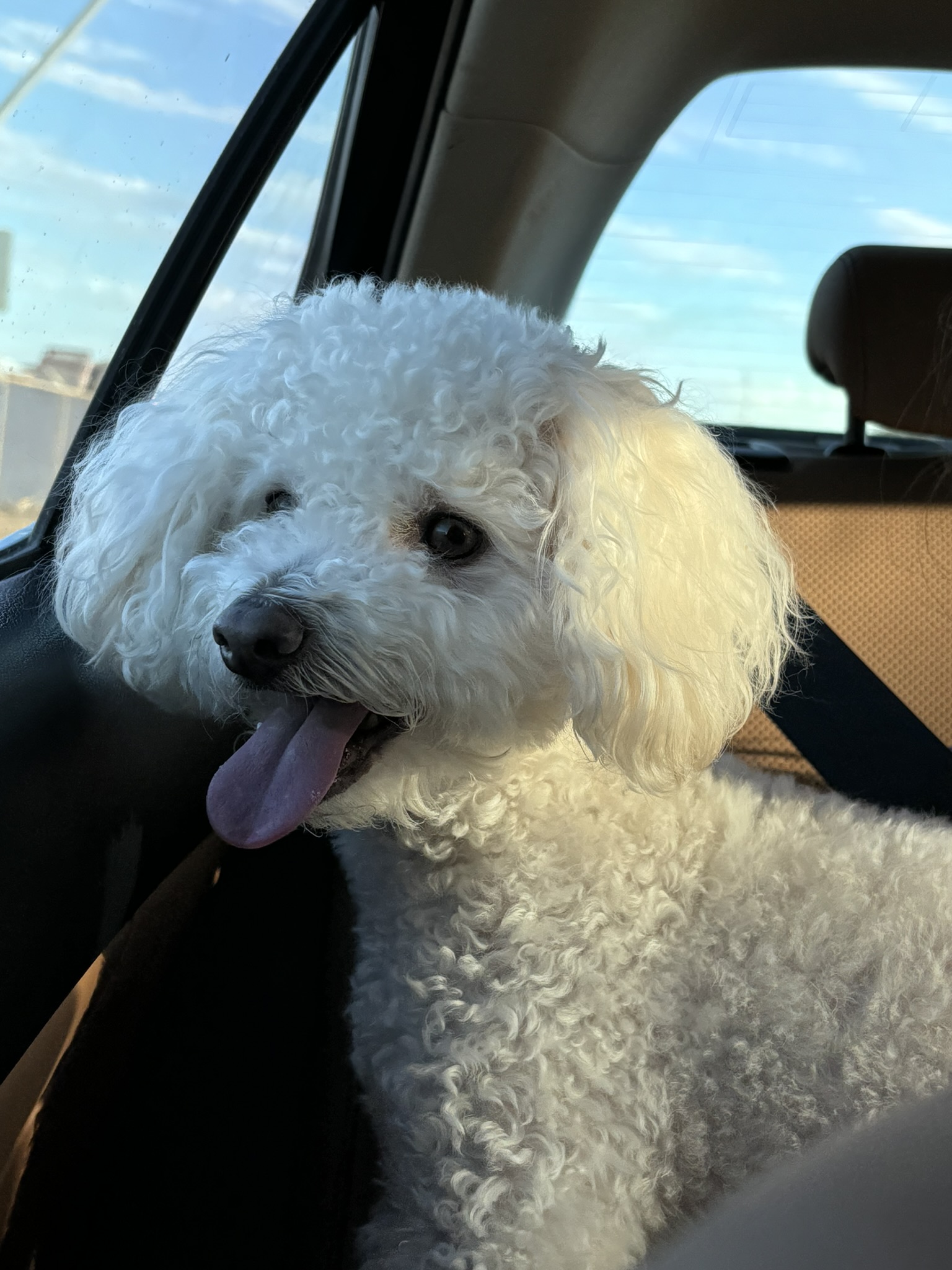 Rudy