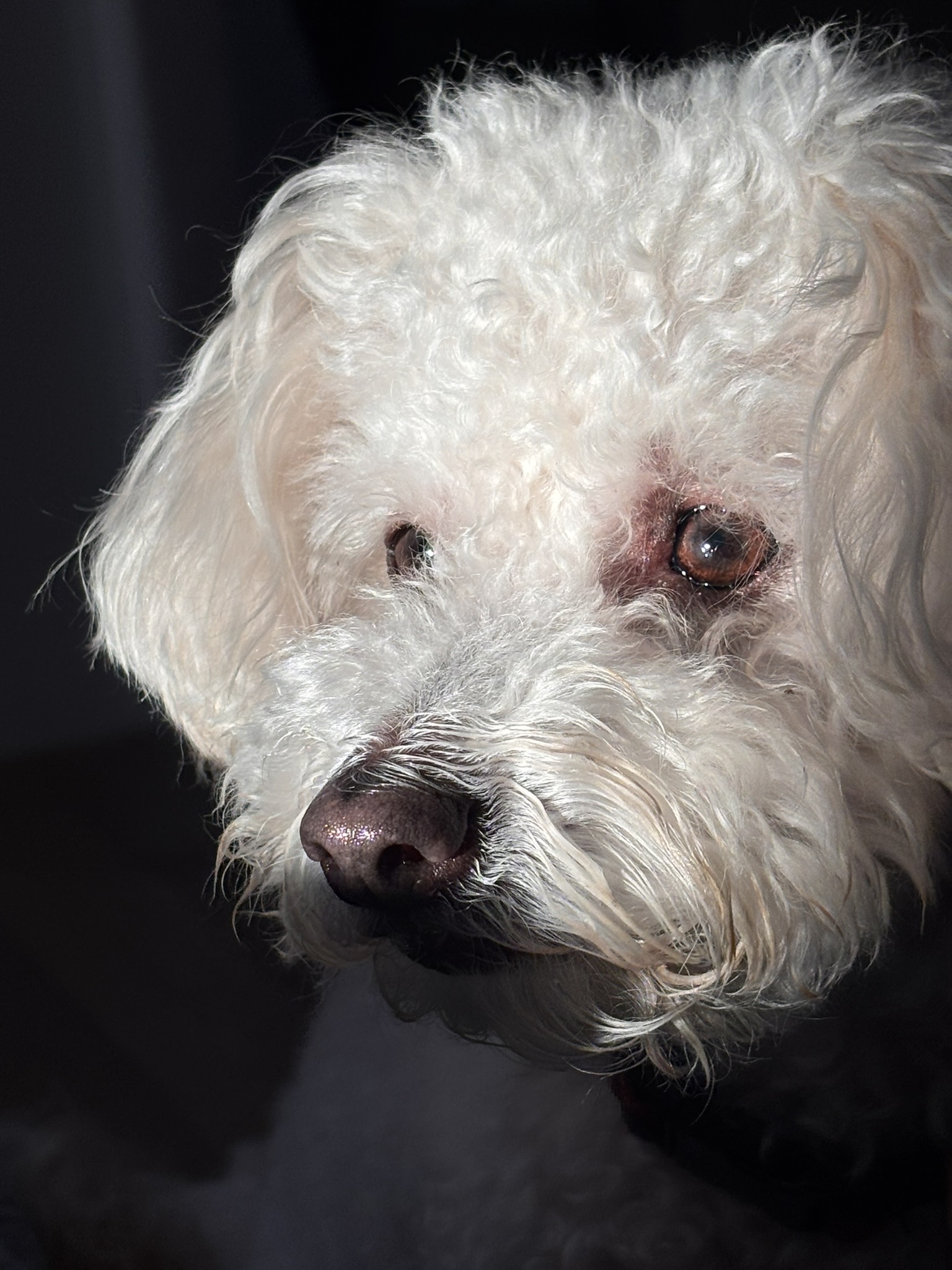 Rudy