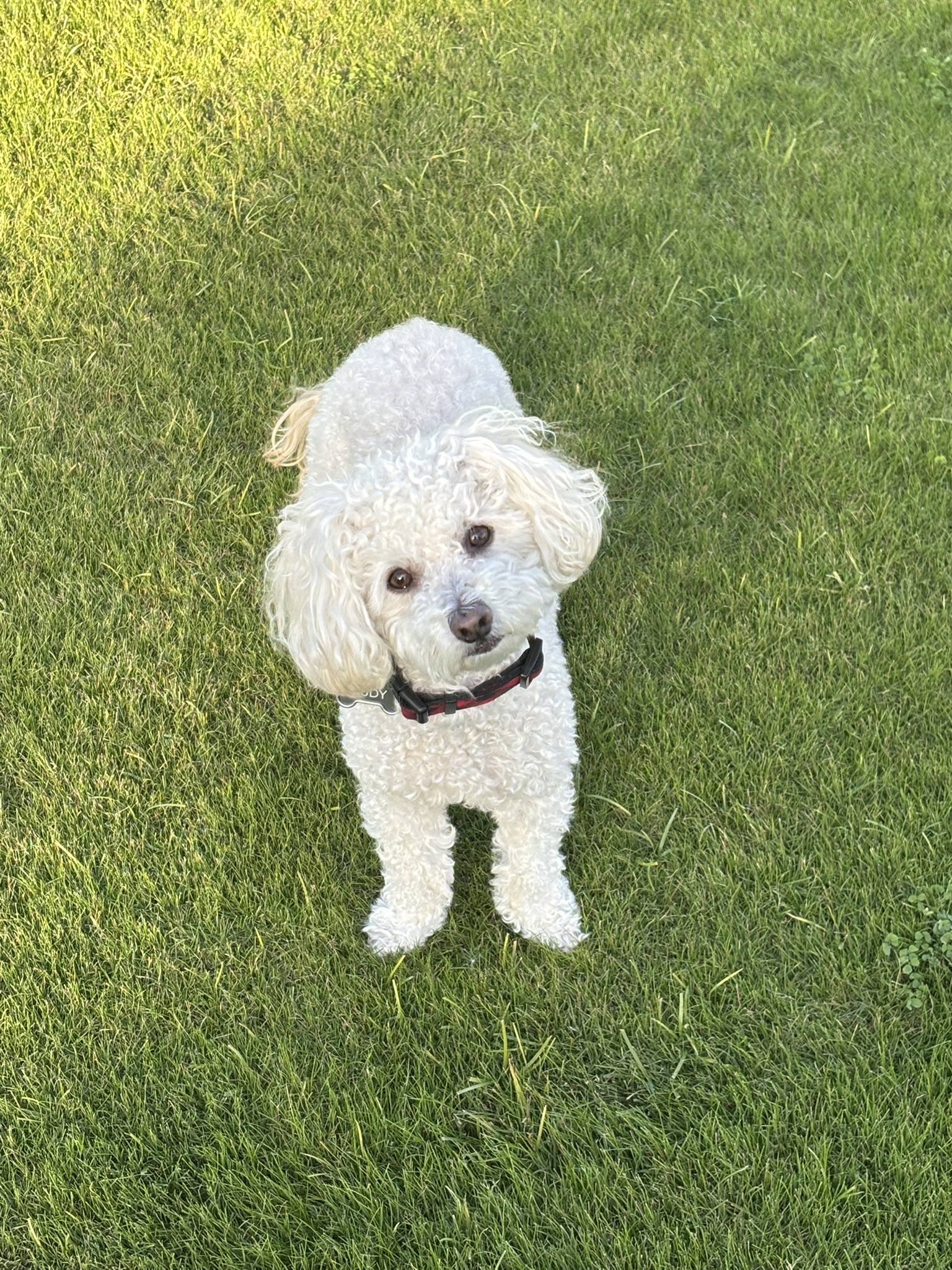 Rudy