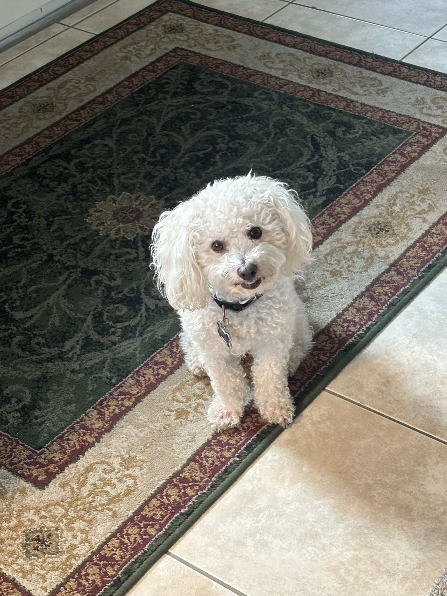 Rudy