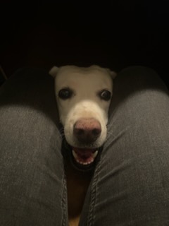 Rudy