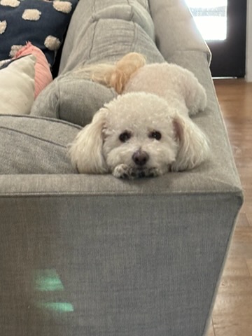 Rudy