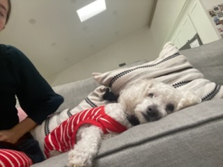 Rudy