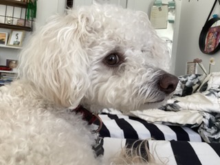 Rudy