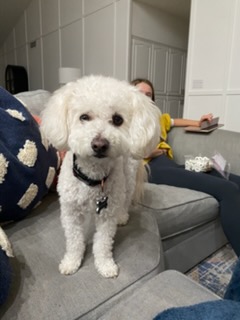 Rudy
