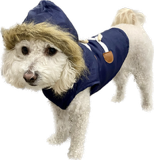 Rudy