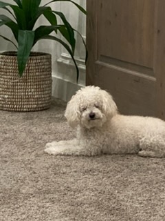 Rudy