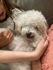 Rudy