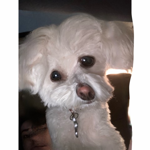 Rudy