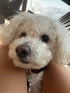 Rudy