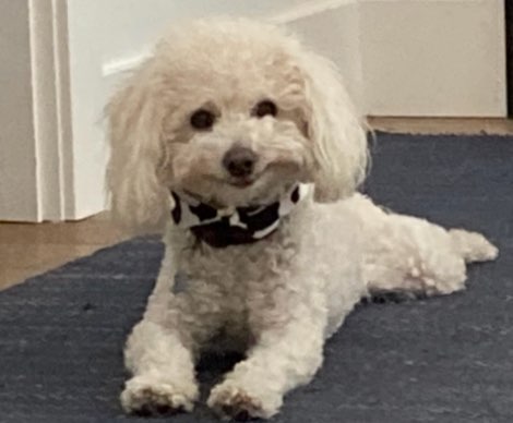 Rudy