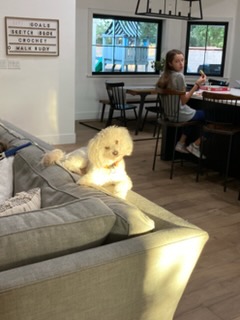 Rudy