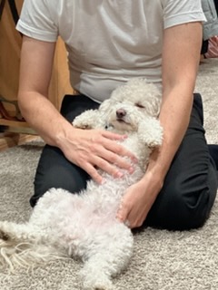 Rudy