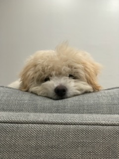 Rudy