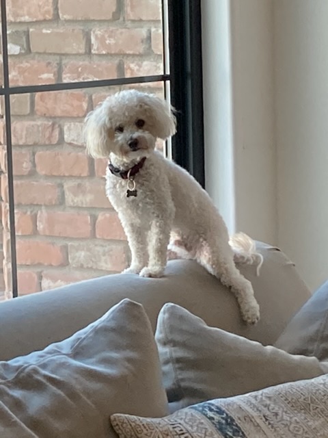 Rudy