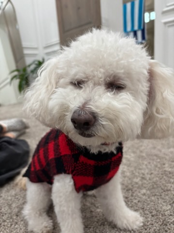 Rudy