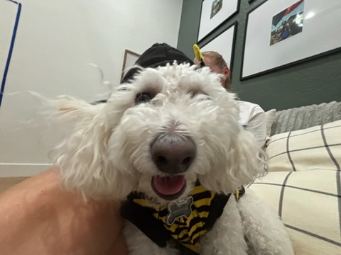 Rudy